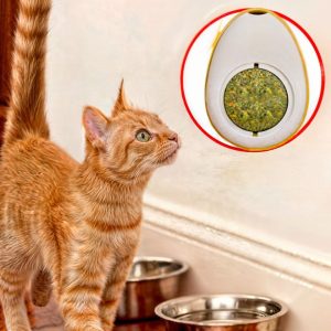 Bola Hierba Catnip Giratoria Gatera Juguete Aguacate Para Gato