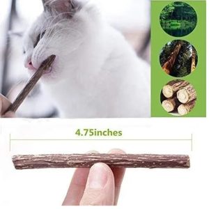 pak x 5 varitas matatavi-gatos